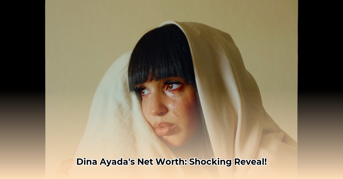 dina-ayada-net-worth